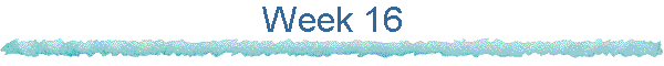 Week 16